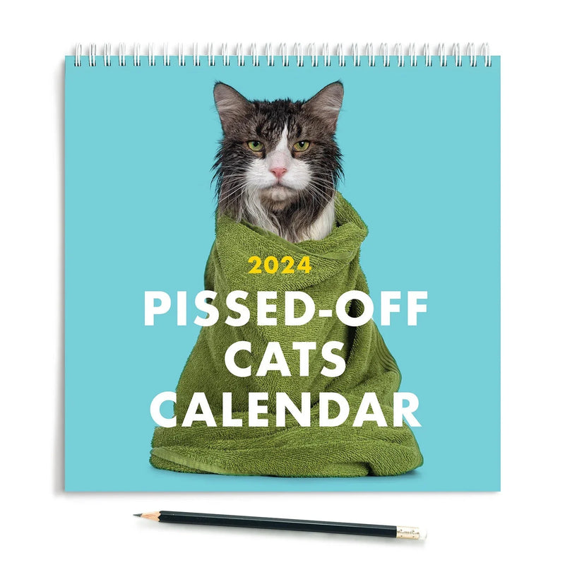 2025 Kalender med vrede katte