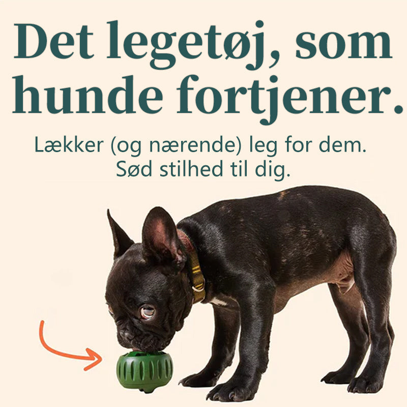 Legetøj til lækage til kæledyrsfoder